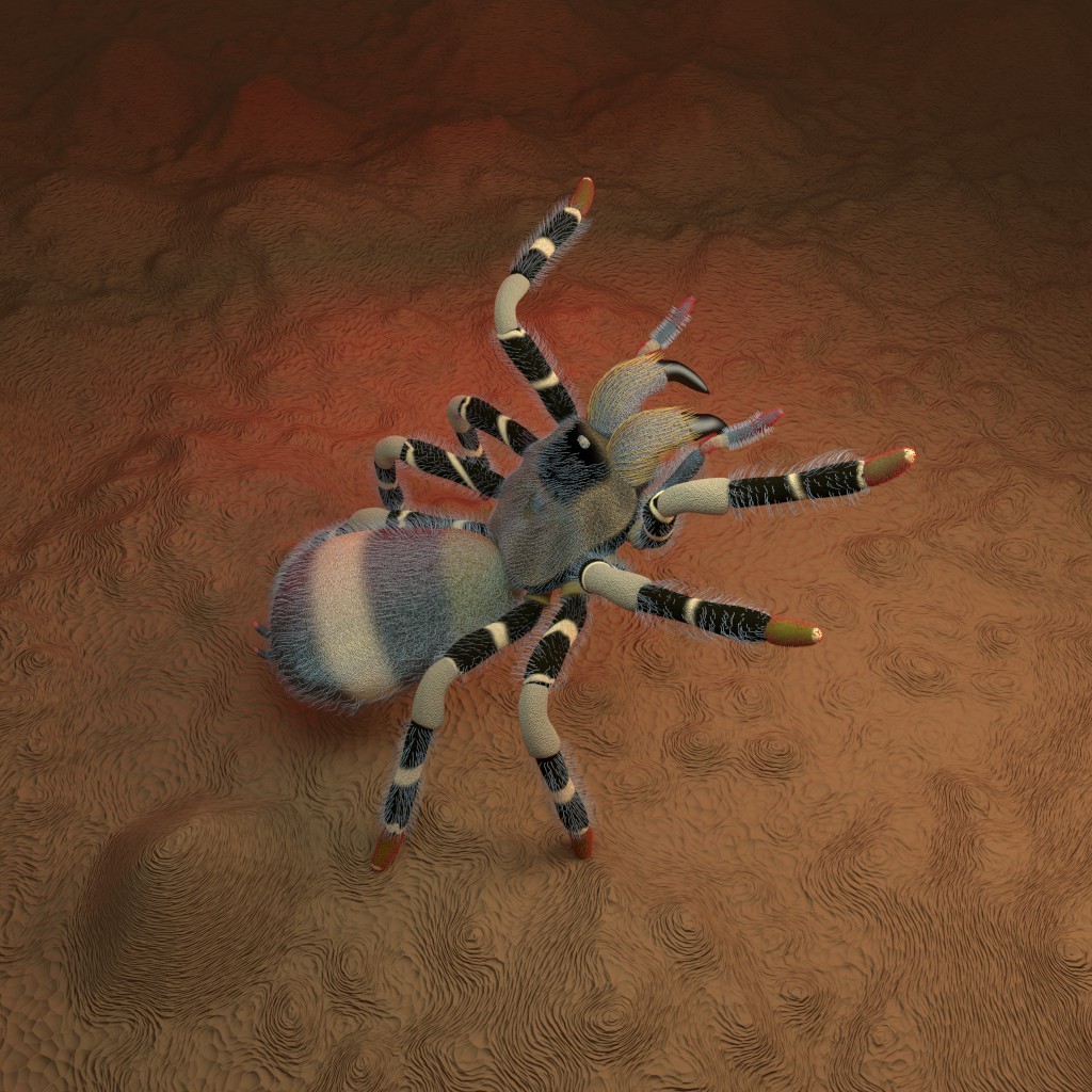 Tarantula preview image 1