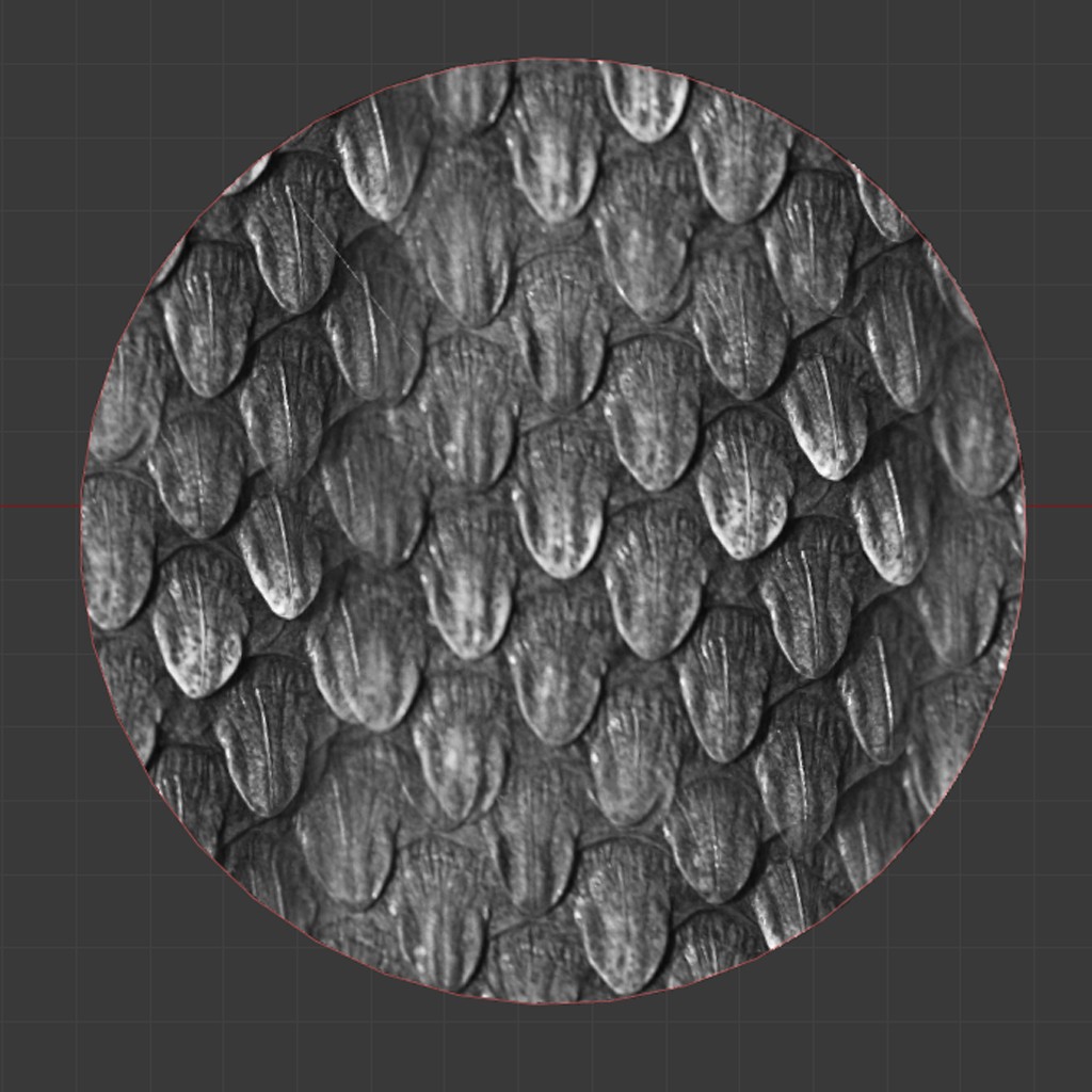 Reptile Skin Brush preview image 1