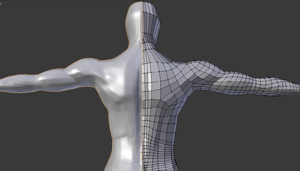 Human box model preview image 1