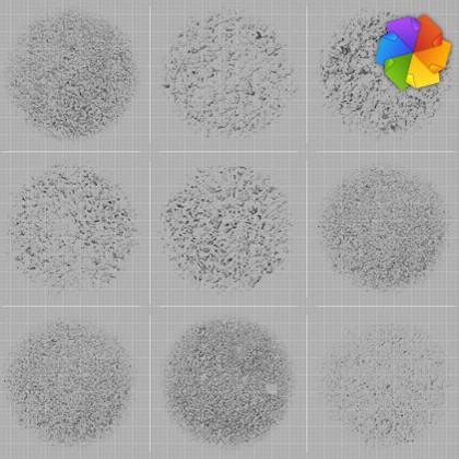 Asphalt brushes. preview image