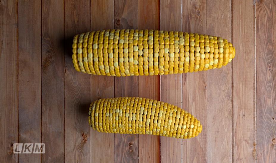 the maizes preview image 1