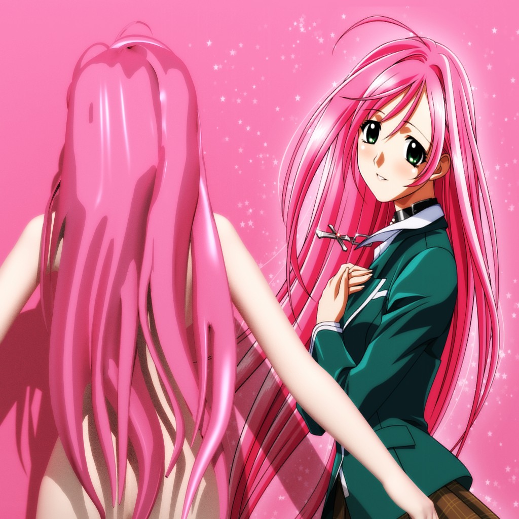 Animesh Moka V5 Rigified! (Moka Akashiya of Rosario + Vampire) preview image 4