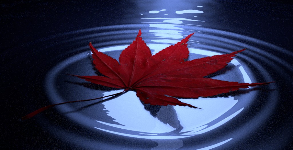 Leaf tutorial source files preview image 1