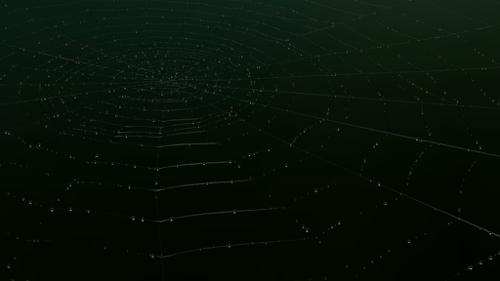 spyder preview image