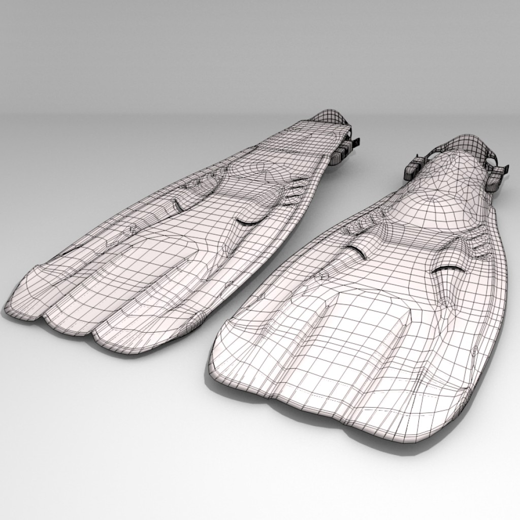 Scuba Diving Fins preview image 2