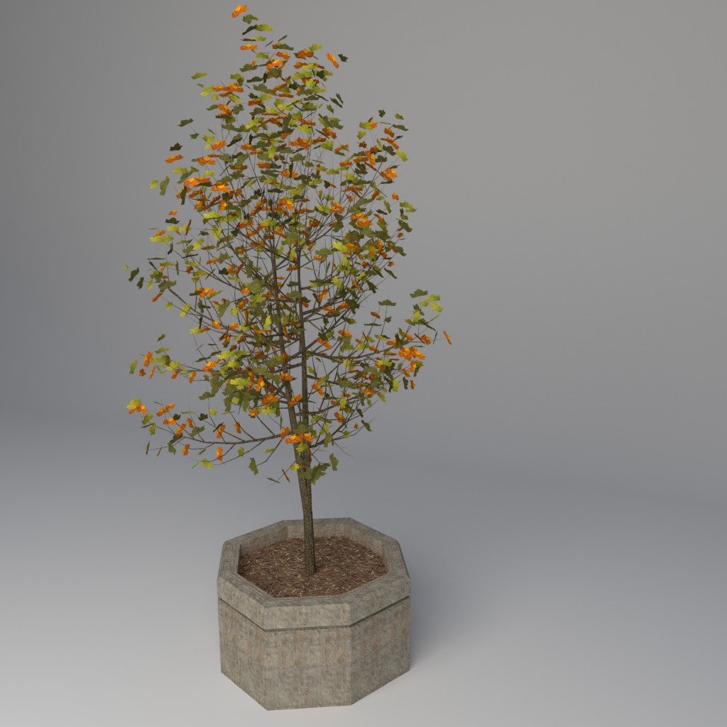 Street Tree preview image 1