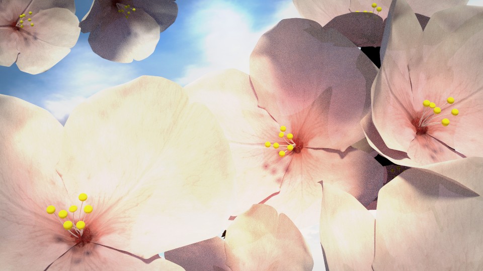 cherry blossom preview image 1