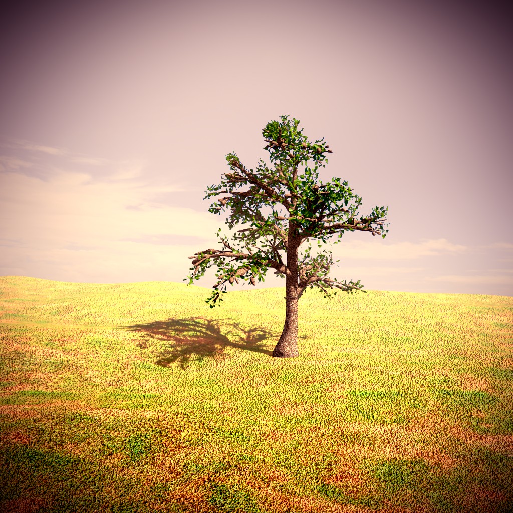 Tree preview image 1