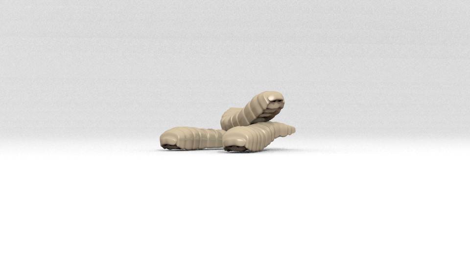 Maggots preview image 1