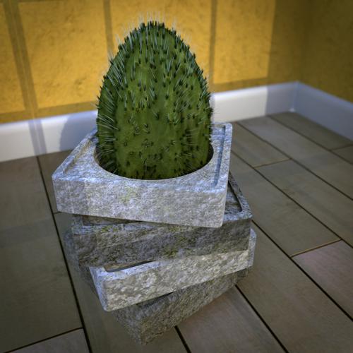 Little cactus preview image