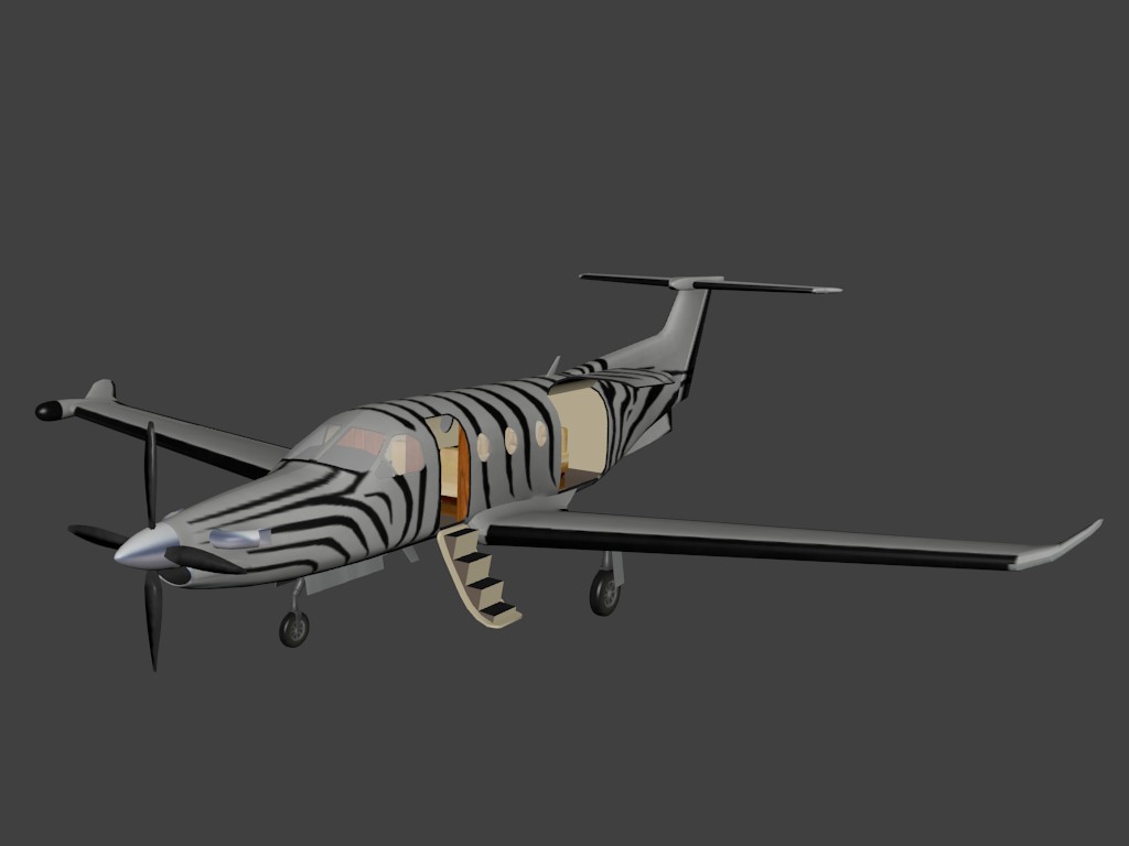 Pilatus PC 12/47 preview image 1