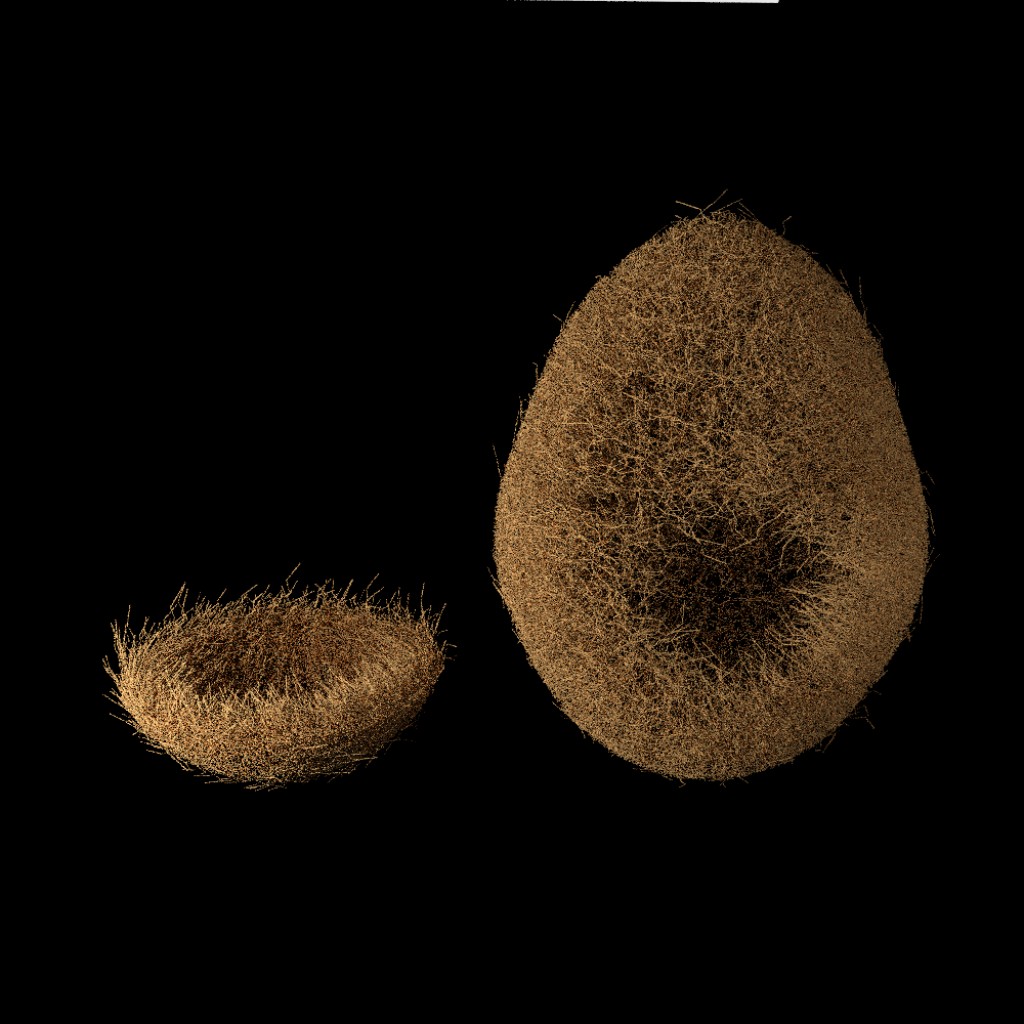 Bird Nests preview image 1