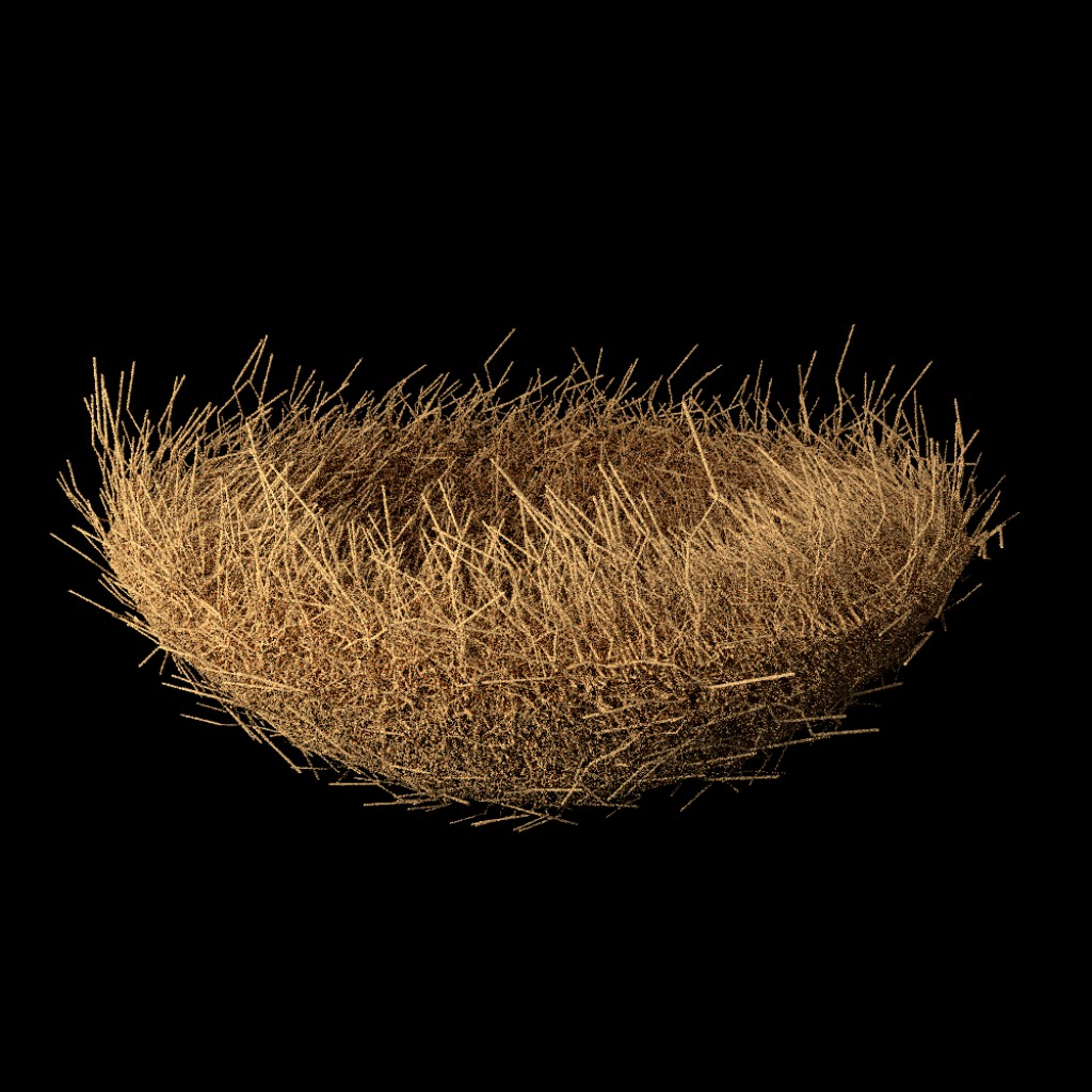 Bird Nests preview image 2