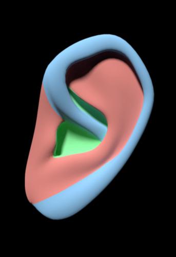 Ear preview image