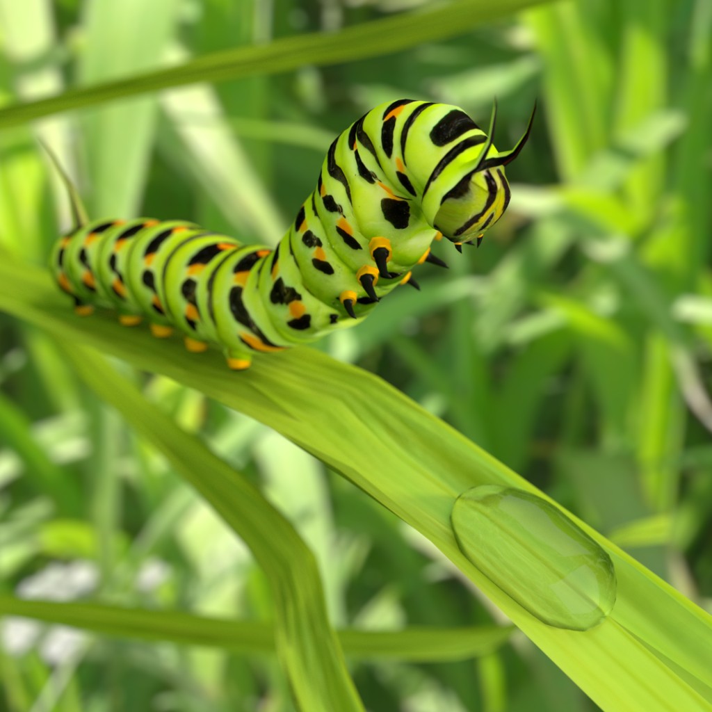 Thirsty caterpillar preview image 1