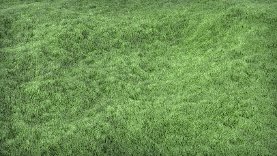 Grass preview image 1