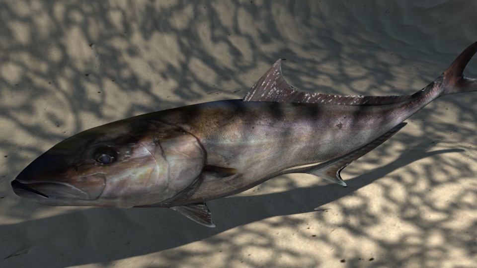 Underwater Caustics in Cycles preview image 1