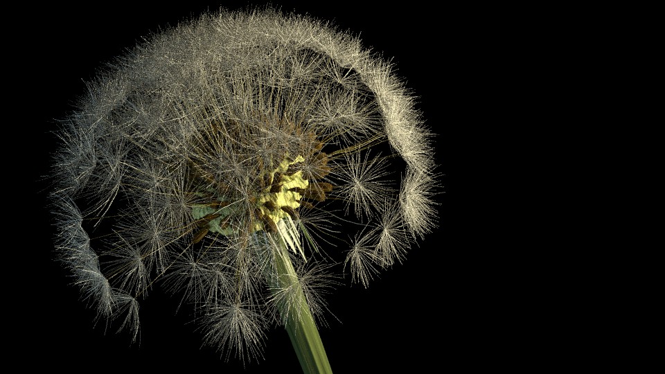 Pissenlit / dandelion preview image 1