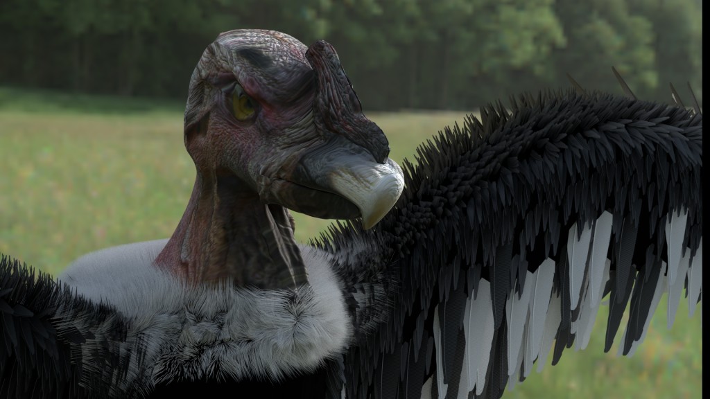 Condor preview image 1