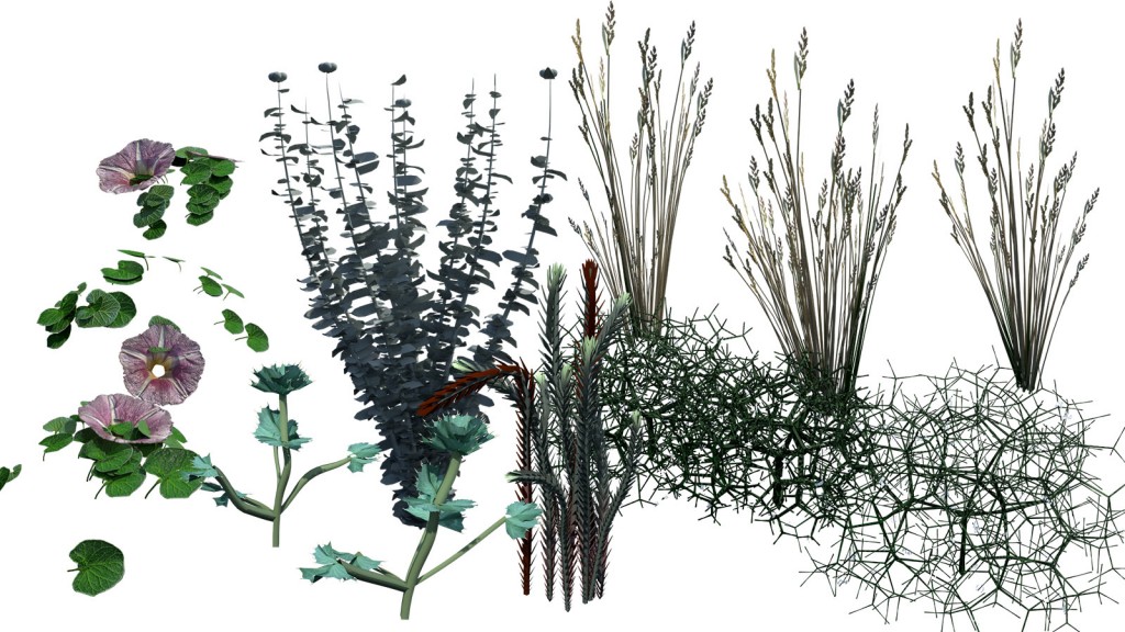 Dune_7Plants_Packs preview image 1