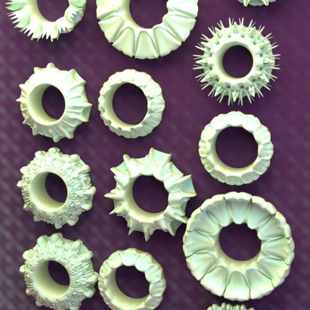 Roof Decorates Interiors preview image 3