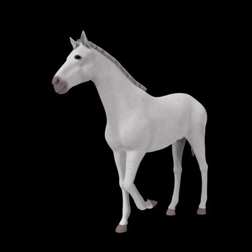 Horse preview image
