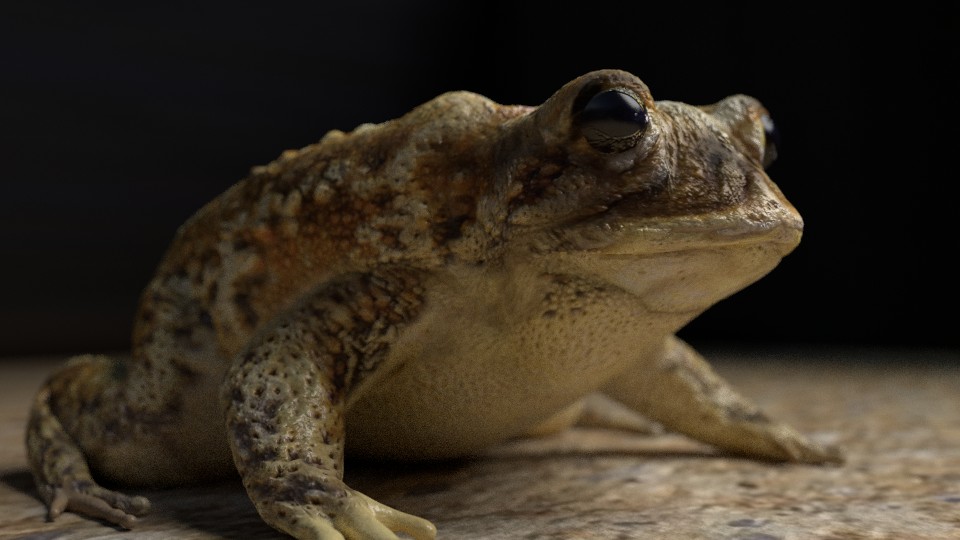 Toad preview image 1