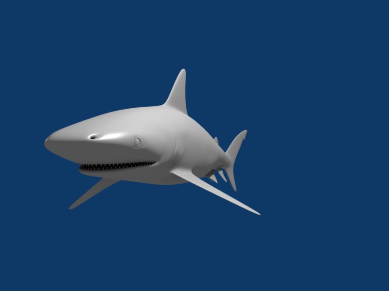 Skark preview image 1