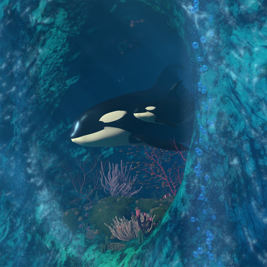 Killer Whale Scene preview image 1