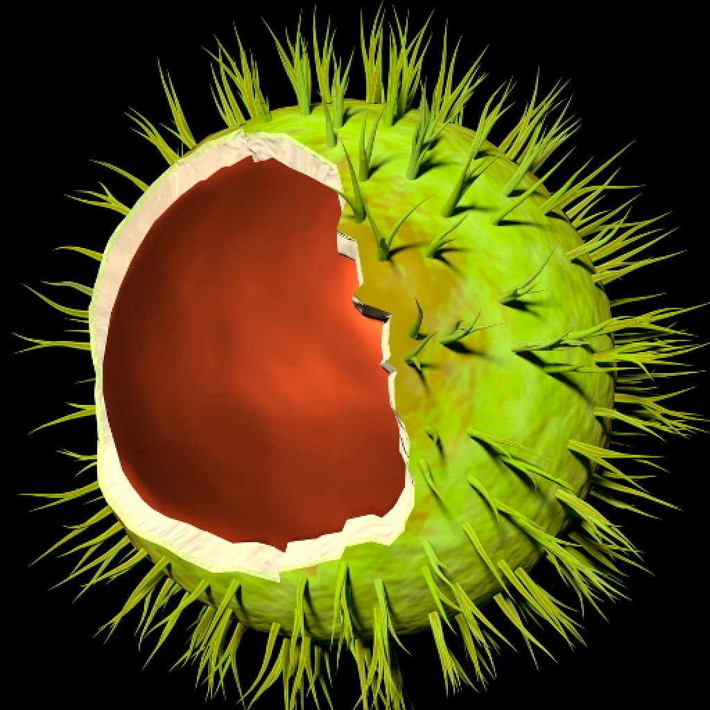 Chestnut  preview image 1