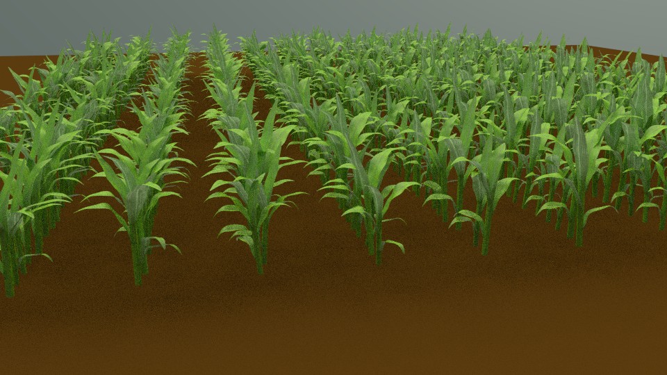 Cornfield preview image 1