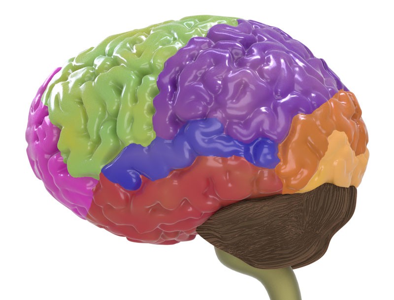 Nervous system for Cycles. preview image 2