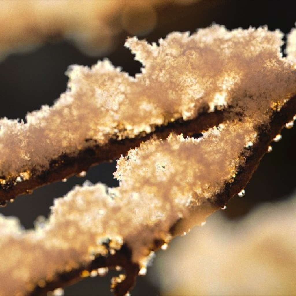 Snow preview image 1