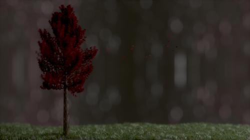 Red Wind preview image