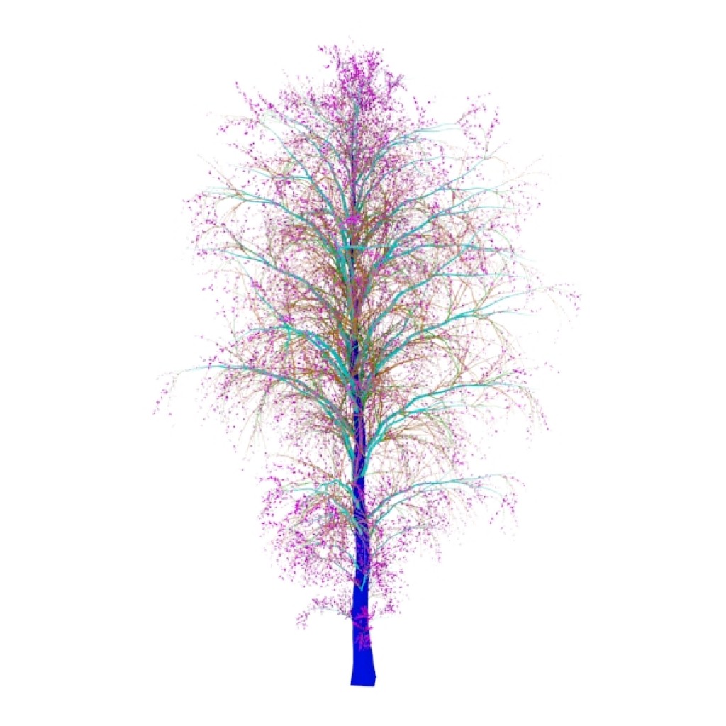 Trees-I preview image 1