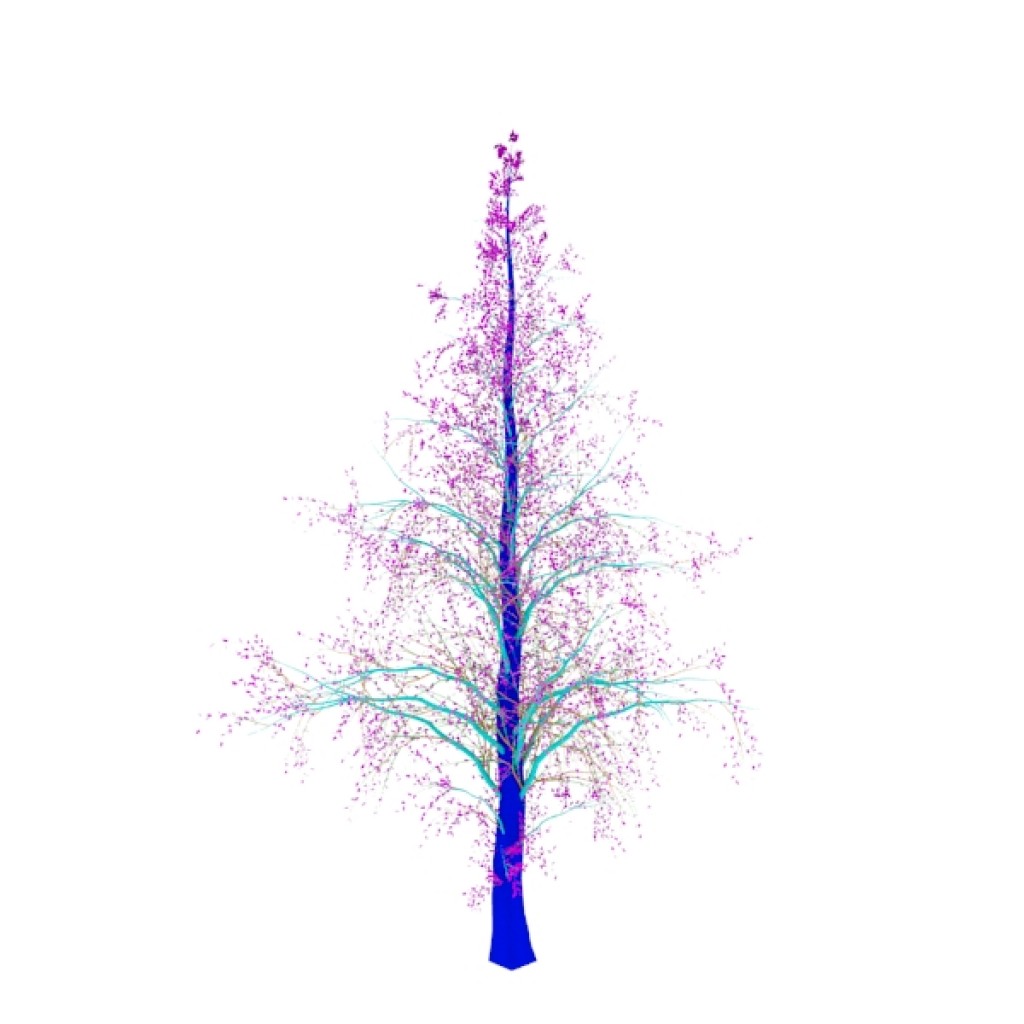 Trees-II preview image 1