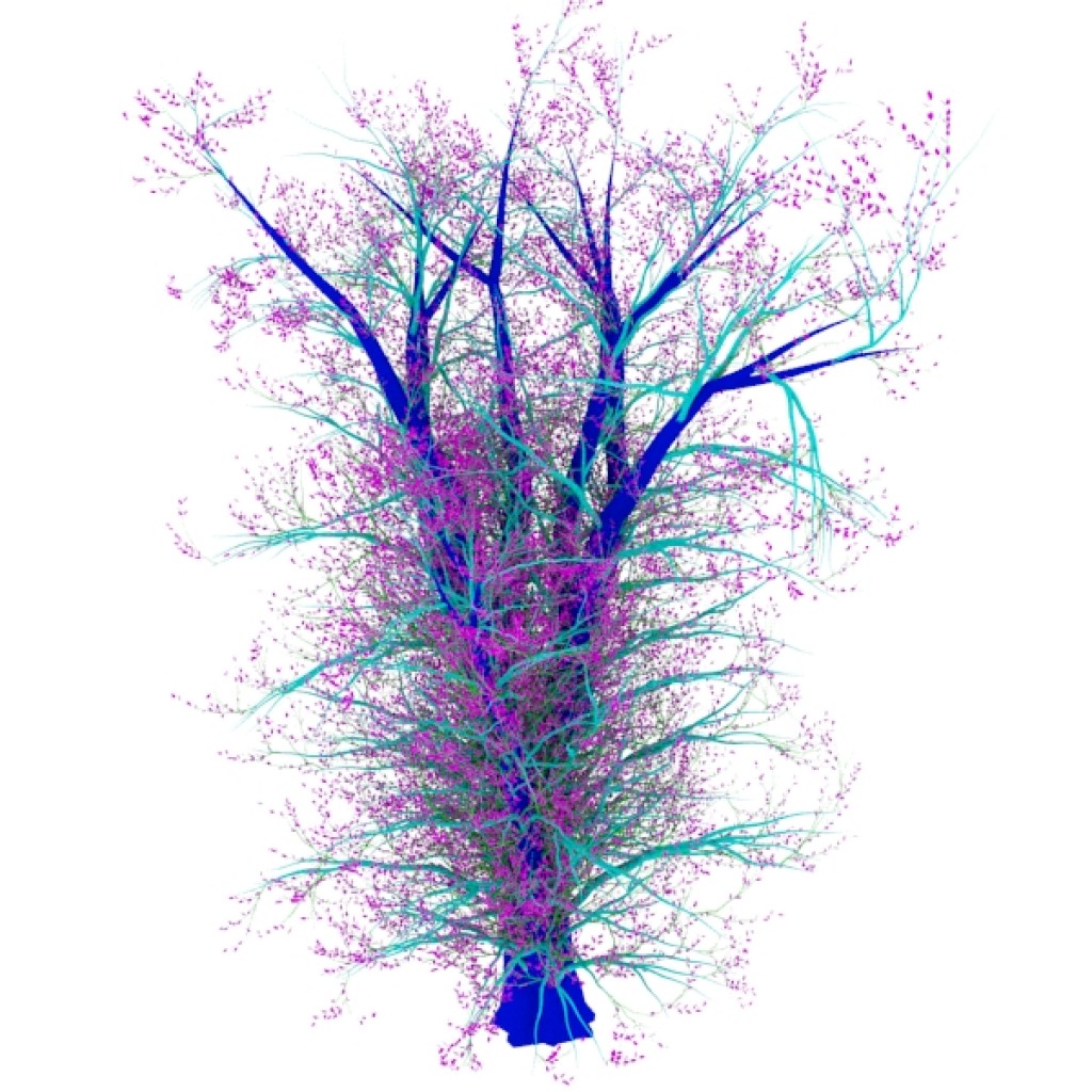 Trees-III preview image 1