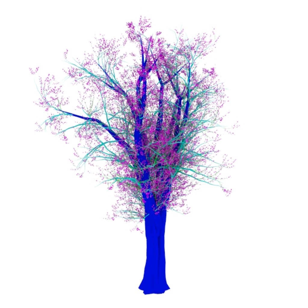 Trees-IV preview image 1