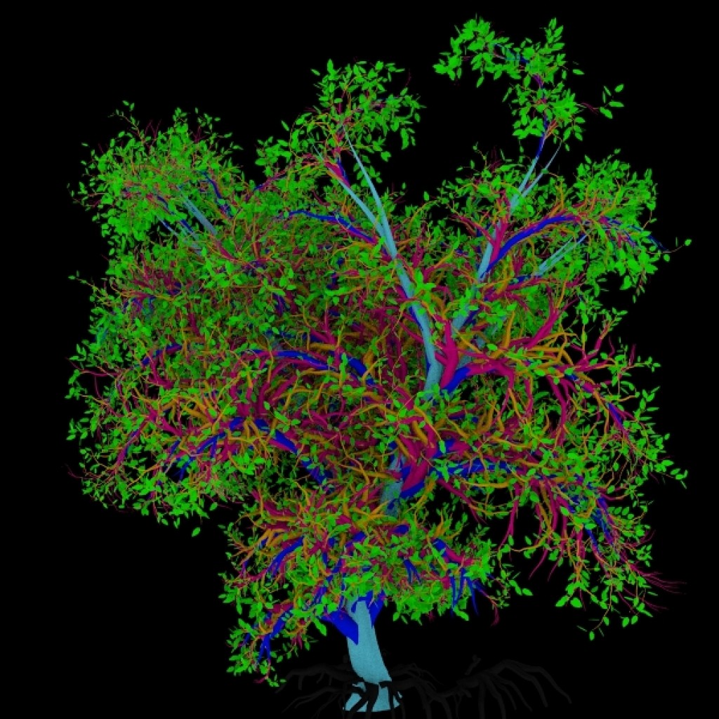 Bonsai preview image 2
