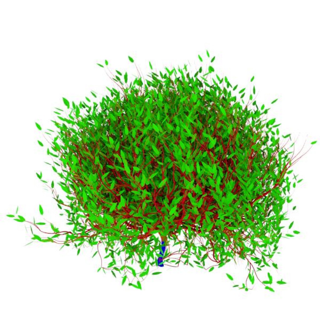 Summer Bushes - i preview image 2