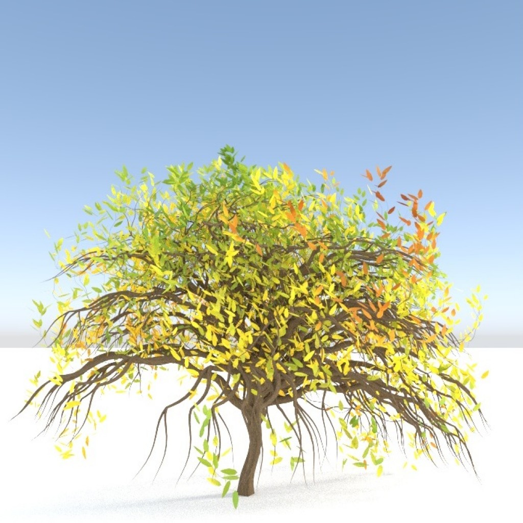 Summer Bushes - iI preview image 1