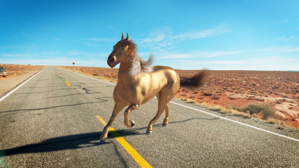 Horse preview image 1