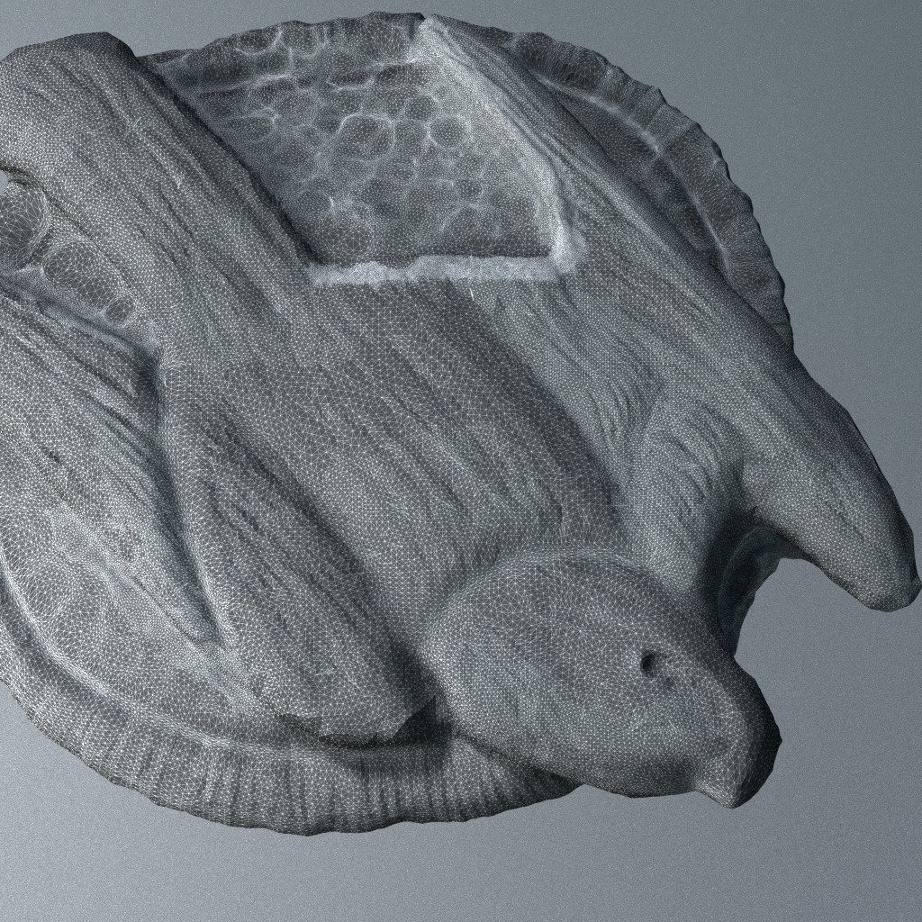 Old Copper Medallion preview image 3