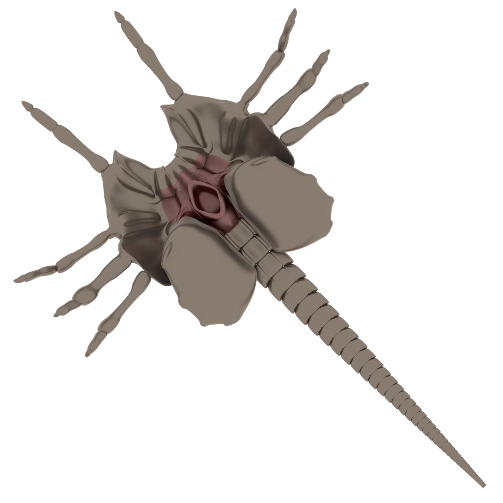 Alien face hugger preview image 1