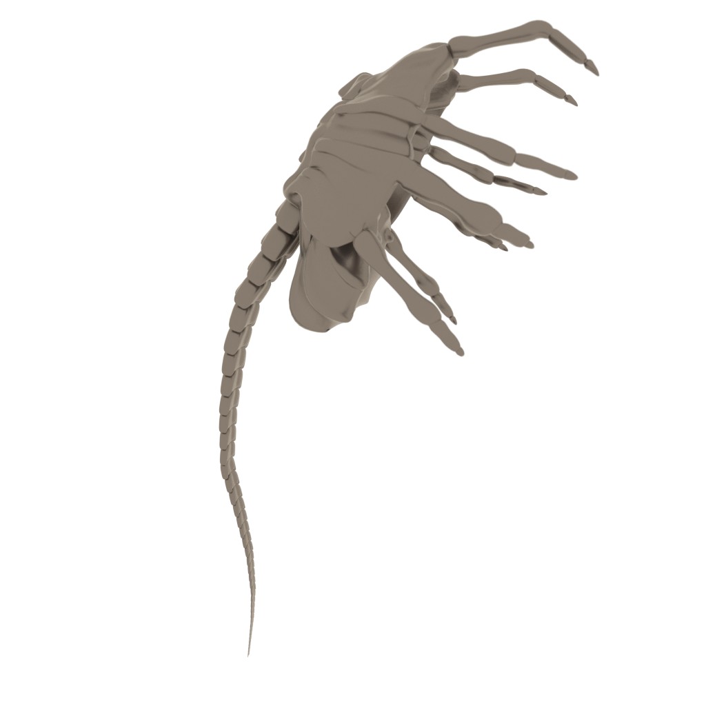 Alien face hugger preview image 6