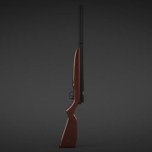 Benjamin Discovery Hunting Rifle preview image