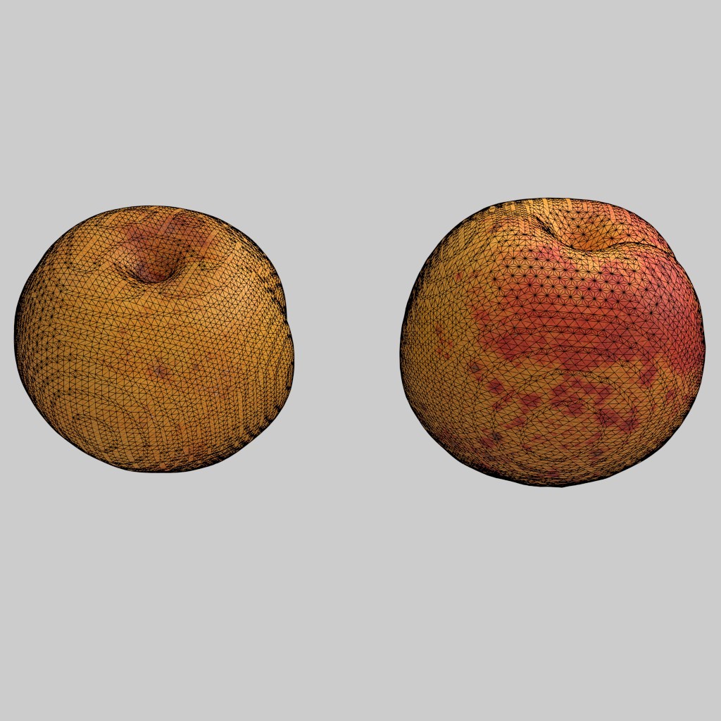 2x apricots preview image 4