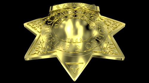 Lane County Sheriff's Office Star preview image