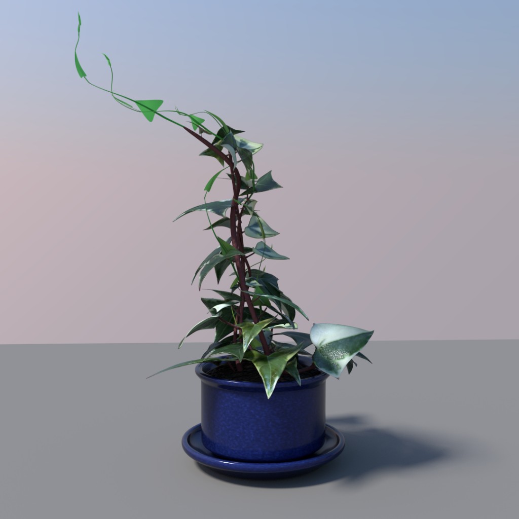 Wax ivy preview image 1