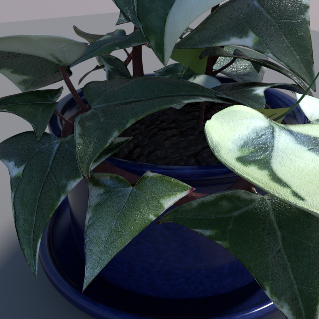 Wax ivy preview image 2